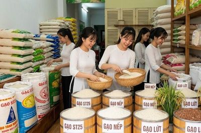 Giá lúa gạo hôm nay 31.7.2026: Gạo nguyên liệu tăng nhẹ