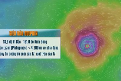 [Video] Siêu bão Dolphin tiếp tục mạnh lên, Biển Đông có thể đón gió Tây Nam mạnh từ đầu tháng 8
