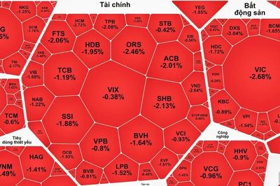 VN-Index đảo chiều giảm sau 4 phiên phục hồi
