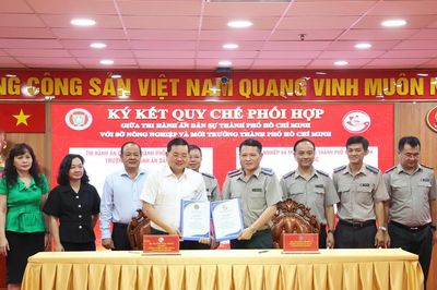 Thi hành án dân sự TP.HCM: Tăng cường phối hợp liên ngành, nâng cao hiệu quả thi hành án dân sự trong lĩnh vực đất đai