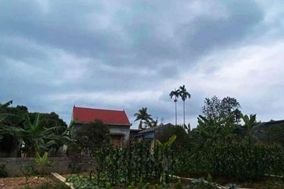 Lần nào nhờ đưa đón, con rể cũng tạt vào cây xăng, lý do khiến mẹ vợ nghẹn lòng