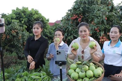 Giảm nghèo thông tin cho nông dân, livestream ngay tại ruộng để bán hàng