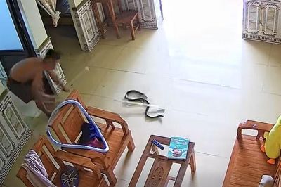 Rắn rơi từ điều hòa xuống phòng ngủ, người phụ nữ ở Phú Thọ hét thất thanh