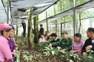 Giảm nghèo thông tin mở lối phát triển sinh kế bền vững ở Tả Lèng