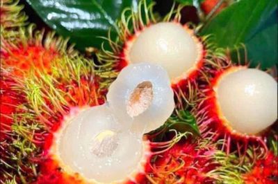 Quy tắc 3Đ khi ăn trái cây để không gây hại sức khỏe
