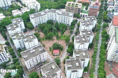 Nhà nước giữ vai trò kiến tạo, khơi thông dòng vốn đầu tư nhà ở cho thuê