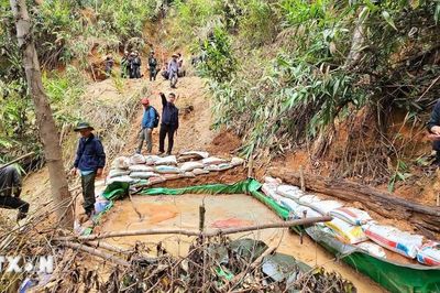 Bình yên trở lại sau 'cơn sốt vàng' tại Nghệ An