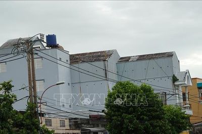 An Giang quy định vùng không được nuôi chim yến