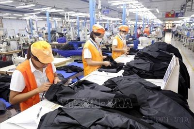 Thúc đẩy đàm phán và minh bạch chuỗi cung ứng ngành dệt may