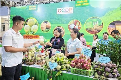 Thái Nguyên: Đẩy mạnh kết nối tiêu thụ na La Hiên và nông sản chủ lực