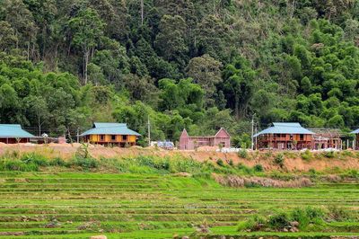 Khu tái định cư thắp hy vọng an cư cho người dân vùng sạt lở