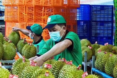Việt Nam chính thức xuất khẩu sầu riêng tươi sang Ấn Độ, mở thêm cánh cửa cho mục tiêu 74 tỷ USD của ngành
