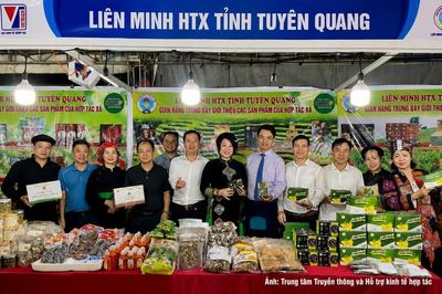 Hội chợ xúc tiến thương mại Hợp tác xã khu vực miền Bắc năm 2026: Cơ hội kết nối giao thương và phát triển sản xuất kinh doanh