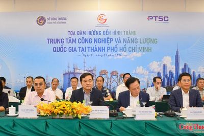 TP. Hồ Chí Minh lấy góp ý về Đề án Trung tâm công nghiệp năng lượng quốc gia