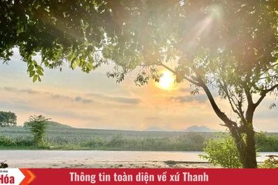 Mùi nắng, mùi mưa
