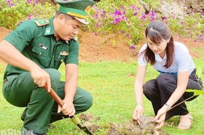Phường Hà Tiên trồng 2.000 cây xanh