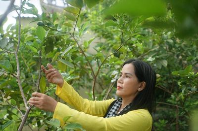 Gieo mầm xanh cho nông nghiệp đô thị