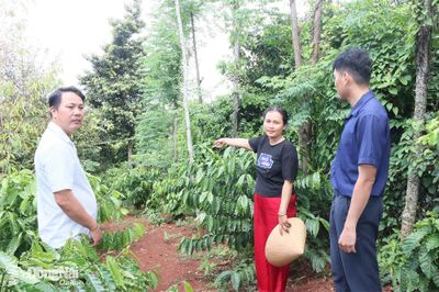 Xây dựng công trình nhà vệ sinh cho hộ nghèo