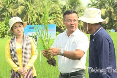Nông dân trước áp lực El Nino: Tối ưu hiệu quả cuối vụ, chủ động nền tảng cho vụ mùa mới