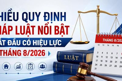 Nhiều quy định pháp luật nổi bật bắt đầu có hiệu lực từ tháng 8/2026