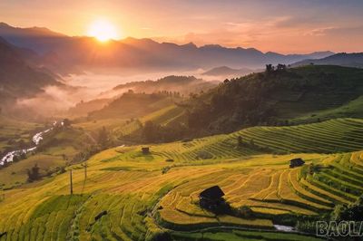 Mường Bo mùa lúa chín - Vẻ đẹp bình yên nơi thung lũng cuối trời Sa Pa