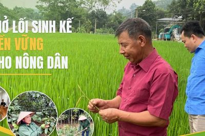 Bảo Ái: Mở lối sinh kế bền vững cho nông dân