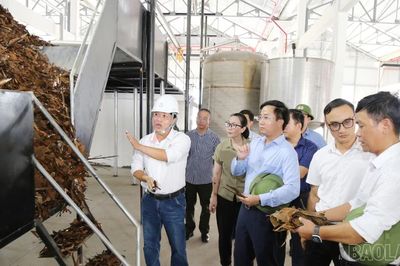 Kiểm tra tiến độ các dự án chế biến nông sản, định hướng phát triển chuỗi giá trị