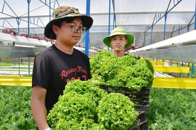 Hướng đến chuỗi giá trị đa tầng trong kinh tế hợp tác