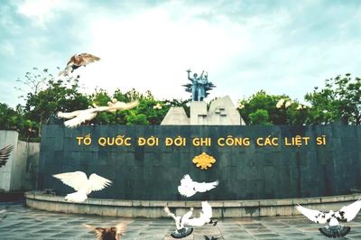 Cánh chim hòa bình