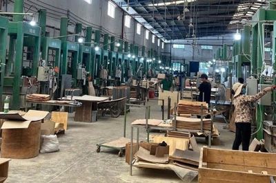Doanh nghiệp xuất khẩu lo 'làn sóng' rào cản thương mại kéo dài