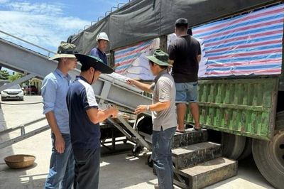 'Tích cốc phòng cơ' cho đại ngàn Tây Nguyên và Nam Trung Bộ
