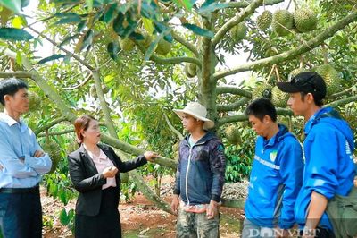 Xin mã số vùng trồng chỉ cần một loại giấy tờ