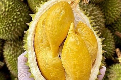 Ấn Độ chính thức mở cửa thị trường cho sầu riêng tươi Việt Nam
