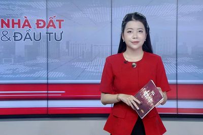 Bản tin Nhà đất và đầu tư | 31/07/2026