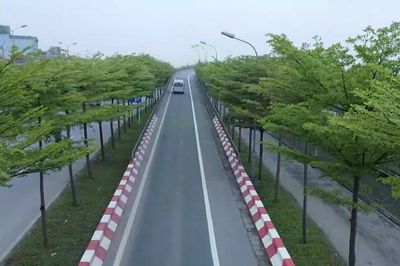 Hàng bàng Đài Loan tô đẹp cửa ngõ Thủ đô Hà Nội