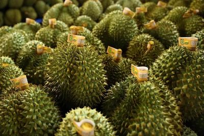 Ấn Độ chính thức mở cửa thị trường cho sầu riêng tươi Việt Nam