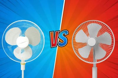 Quạt điện 3 cánh với quạt 5 cánh: Loại nào mát hơn, tiết kiệm điện hơn?