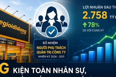 MWG kiện toàn nhân sự, lợi nhuận quý I/2026 tăng mạnh nhờ bán lẻ