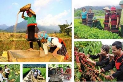 Xã Thuận Hạnh hỗ trợ phát triển sản xuất, nâng cao thu nhập cho đồng bào dân tộc thiểu số