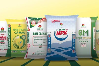 VND định giá mục tiêu cổ phiếu DCM ở mức 49.800 đồng