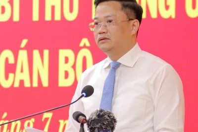 Phê chuẩn kết quả bầu, miễn nhiệm chức vụ Chủ tịch UBND tỉnh Quảng Ngãi