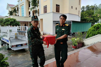Quảng Ngãi: Phát hiện, quy tập thêm một hài cốt liệt sĩ