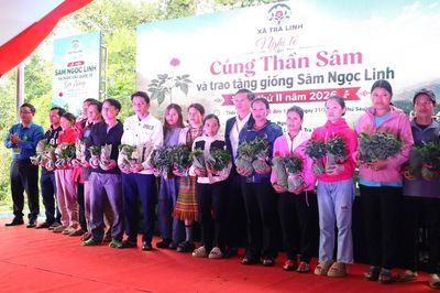 Trao hơn 17.000 cây giống sâm Ngọc Linh, lan tỏa sinh kế từ đại ngàn