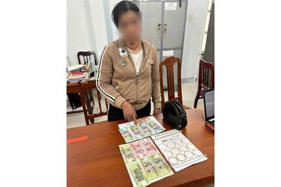 'Bỉ vỏ' sa lưới