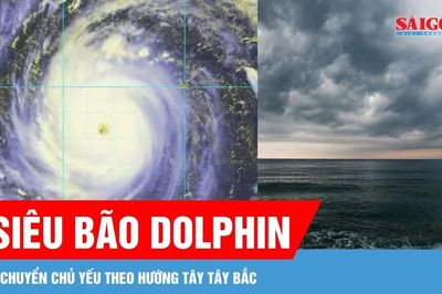 Siêu bão Dolphin có thể vào Biển Đông trong vài ngày tới