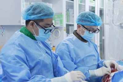 Kỹ thuật mới cứu sống bệnh nhân mạch vành tắc nghẽn cầu nối