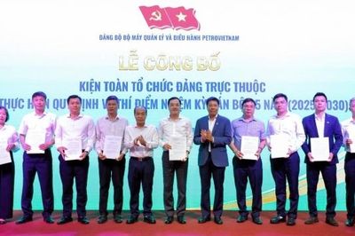 [VIDEO] Đảng bộ Bộ máy QL&ĐH Petrovietnam kiện toàn tổ chức bộ máy các tổ chức đảng trực thuộc