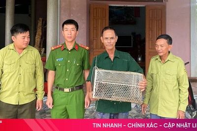 Người dân tự nguyện giao nộp khỉ đuôi lợn quý hiếm