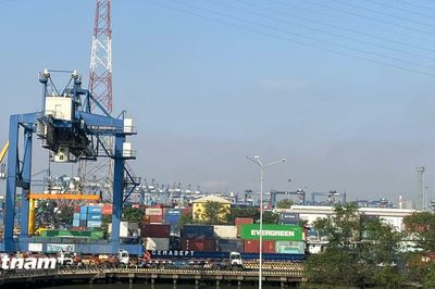 Sáu năm thực thi EVFTA giúp kim ngạch song phương đạt 383,8 tỷ USD