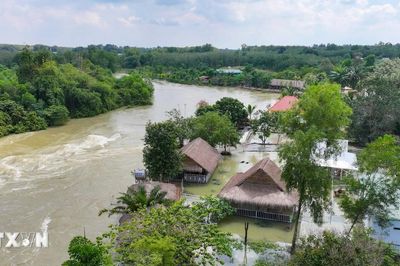Cận cảnh hành lang thoát lũ hồ Dầu Tiếng bị 'bóp nghẹt'
